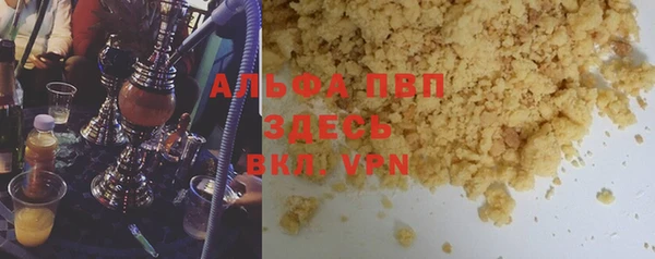 стаф Аркадак