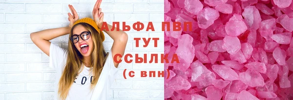 стаф Аркадак