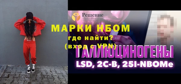 индика Армянск