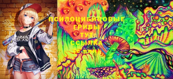 индика Армянск