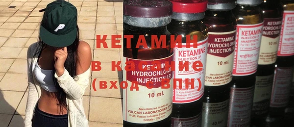 стаф Аркадак