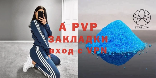 стаф Аркадак