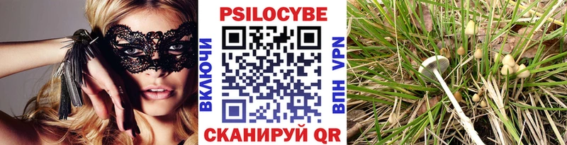 Галлюциногенные грибы Psilocybe  mega зеркало  Балашиха 