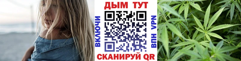купить   hydra ONION  Каннабис сатива  Балашиха 